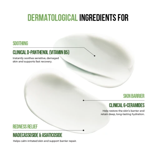 JUMISO Panthenol Barrier Soothing Cream – “Intensive Moisture & Skin Barrier Protection” | 80ml - Lahab Beauty | لهب بيوتي