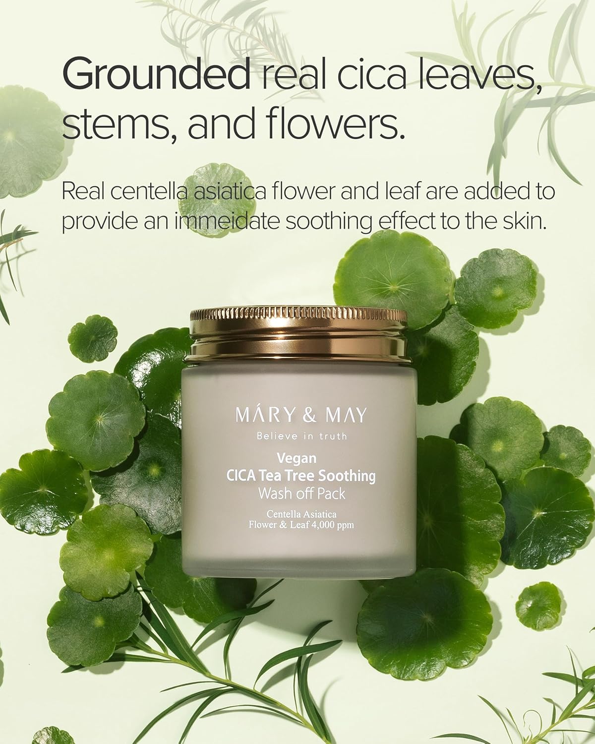 Mary&May Vegan Cica Tea Tree Soothing Wash Off Pack - 120g - Lahab Beauty | لهب بيوتي