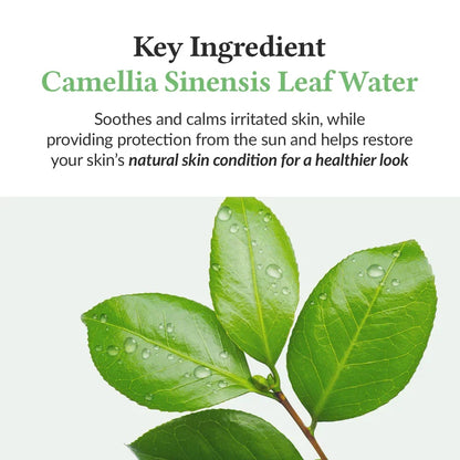 Dr.Althea Green Tea Fresh Sunscreen - Lahab Beauty | لهب بيوتي