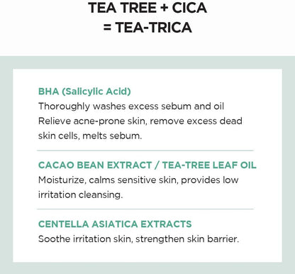 [SKIN1004] Madagascar Centella Tea-Trica BHA Foam - 125ml - Lahab Beauty | لهب بيوتي
