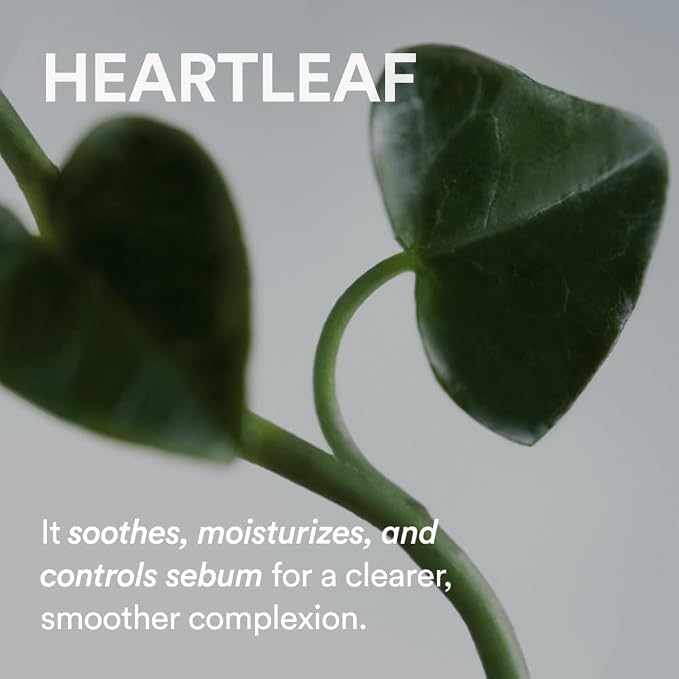 ABIB Heartleaf Crème Calming Tube (70ml) - Lahab Beauty | لهب بيوتي