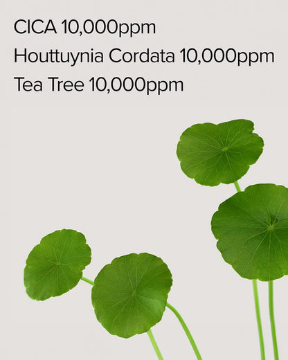 Mary&May CICA Houttuynia Tea Tree Calming Mask - Lahab Beauty | لهب بيوتي