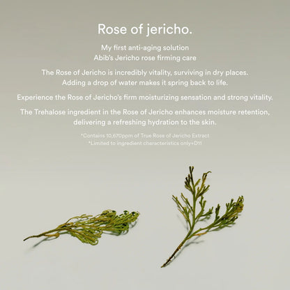 [ABIB] Jericho rose collagen pad Firming touch - Lahab Beauty | لهب بيوتي
