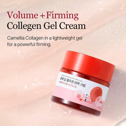 Round Lab Camellia Deep Collagen Firming Cream (50ml / 1.69 fl oz) - Lahab Beauty | لهب بيوتي