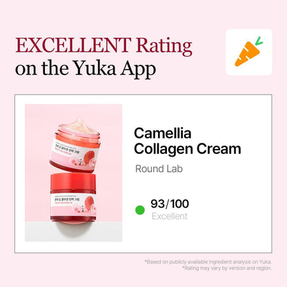 Round Lab Camellia Deep Collagen Firming Cream (50ml / 1.69 fl oz) - Lahab Beauty | لهب بيوتي