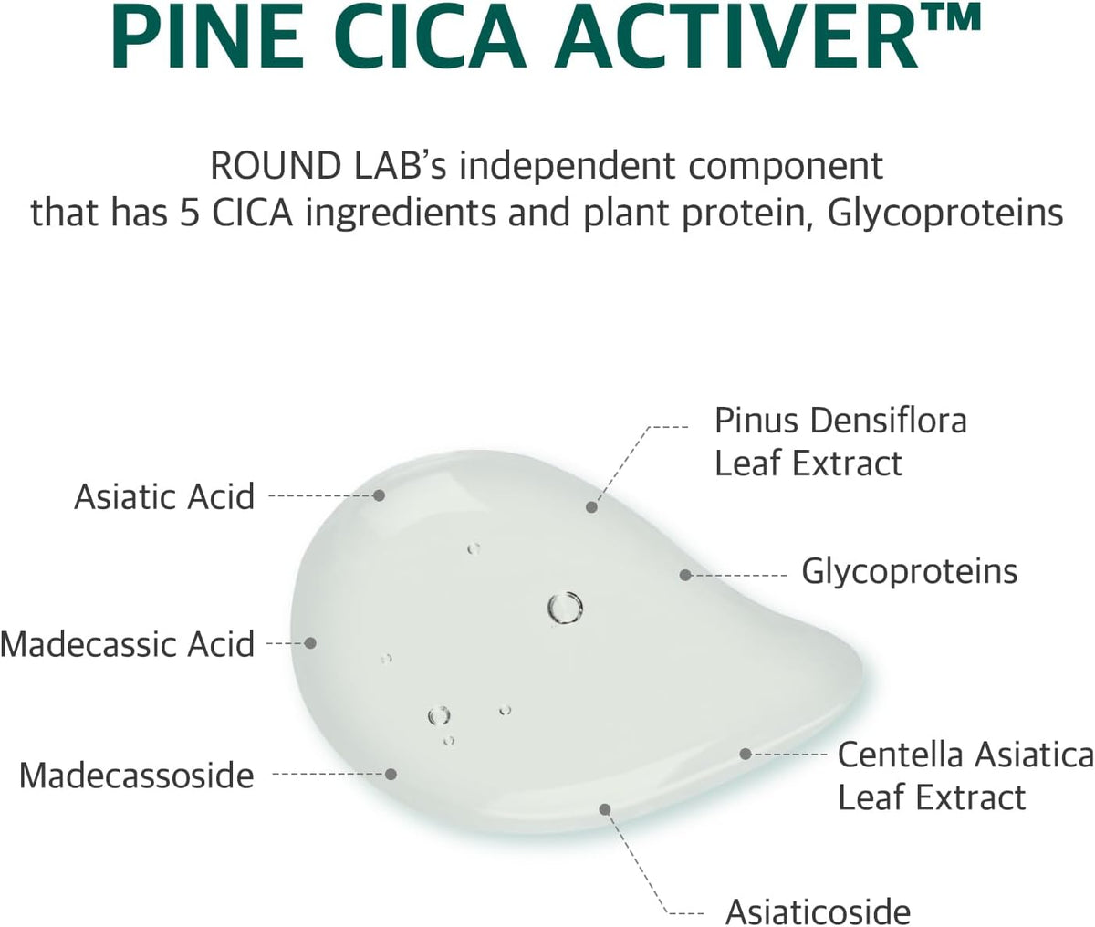 Round Lab Pine Calming Cica Mask (27ml × 10 Sheets) - Lahab Beauty | لهب بيوتي