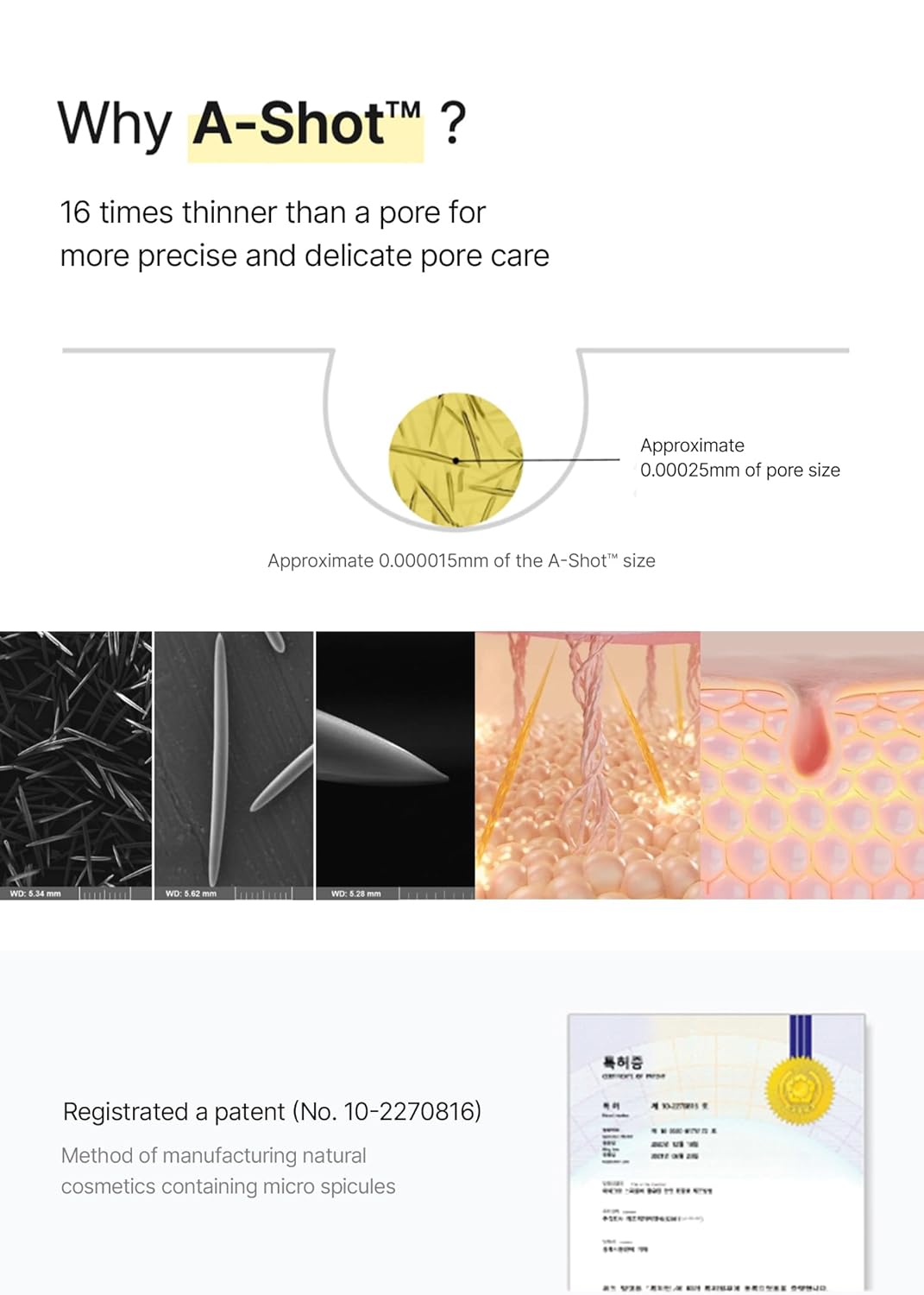 celimax Retinal Booster 15ml + Noni Ampoule 50ml - Lahab Beauty | لهب بيوتي