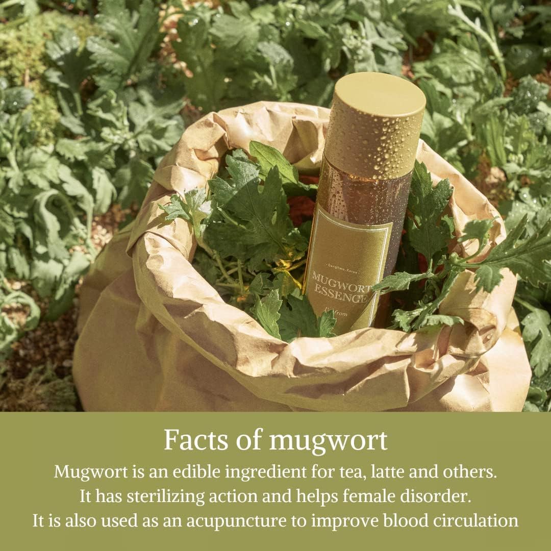 [I'm From] Miniatures of Rice Toner, Mugwort Essence, Fig Boosting Essence (Mugwort) - Lahab Beauty | لهب بيوتي