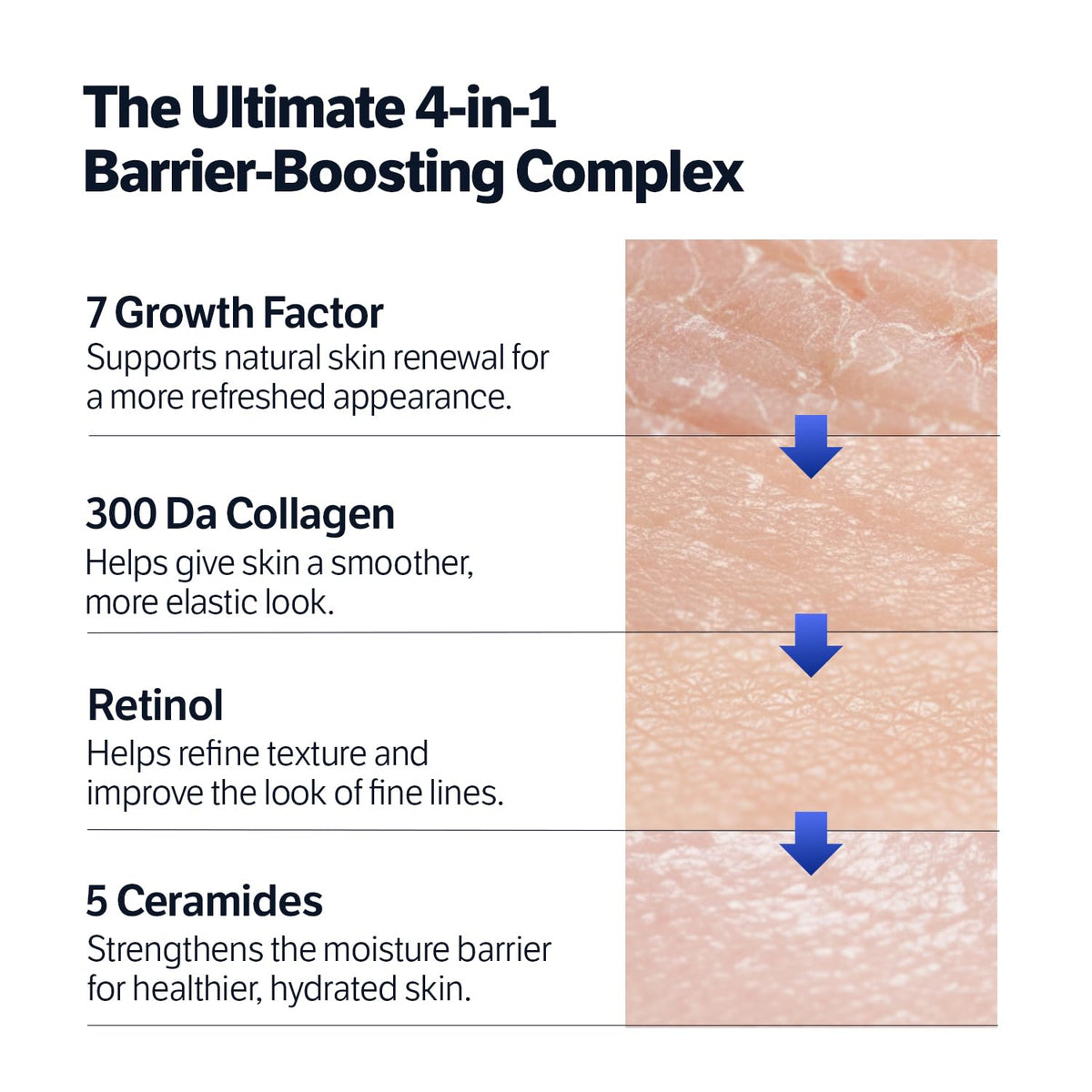 SUNGBOON EDITOR Deep Collagen 7GF Ceramide Advanced Barrier Night Cream 50ml - Lahab Beauty | لهب بيوتي