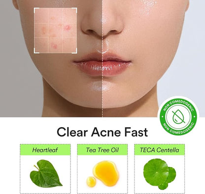 ABIB Heartleaf Calming Spot Patch (78 Patches) - Lahab Beauty | لهب بيوتي