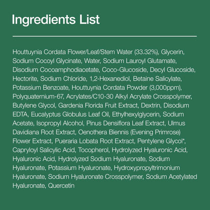 [ANUA] Heartleaf BHA Quercetinol Pore Deep Cleansing Foam 150ml - Lahab Beauty | لهب بيوتي