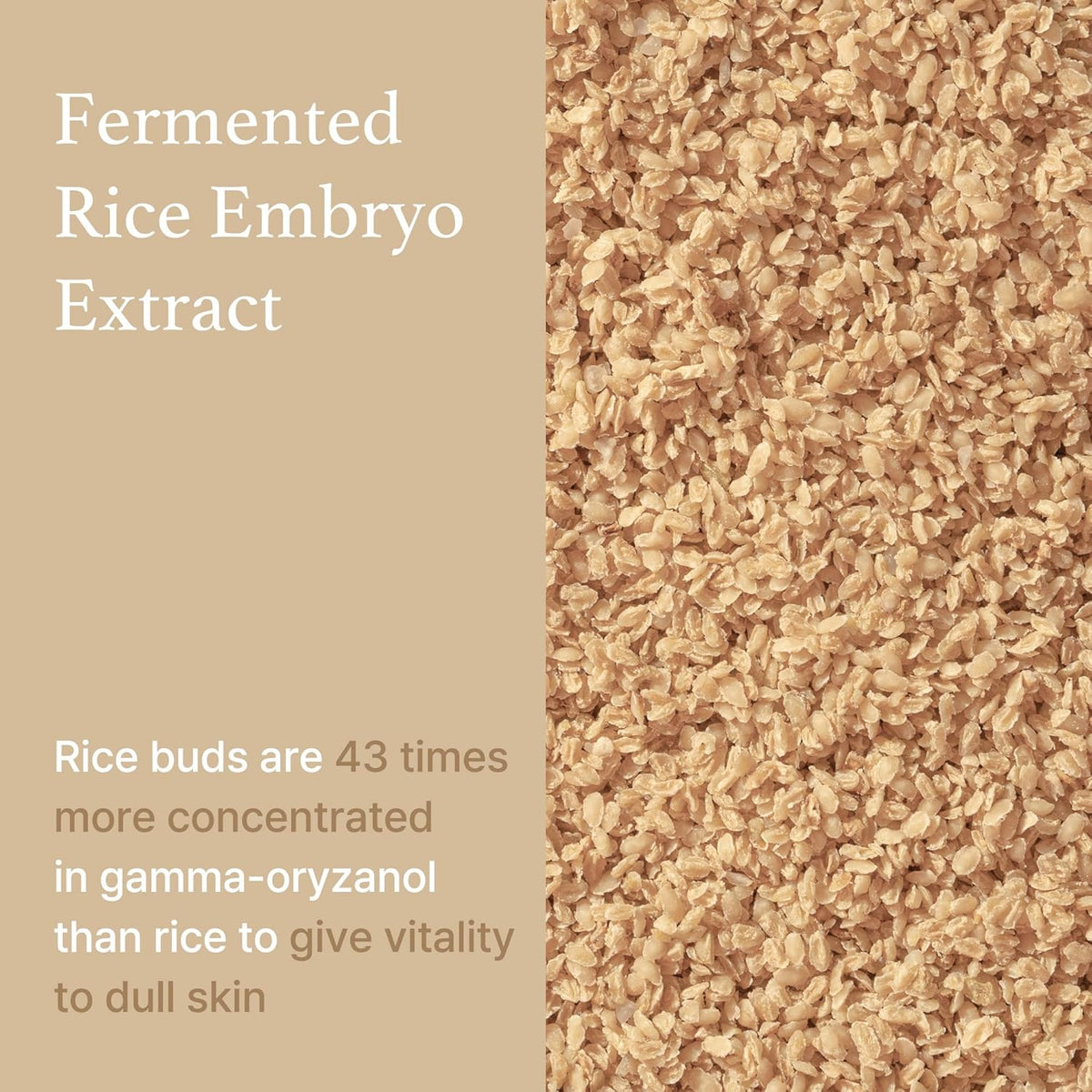 I'm from Rice Toner – Brighten, Hydrate &; Nourish 🍚✨ | 150ml - Lahab Beauty | لهب بيوتي