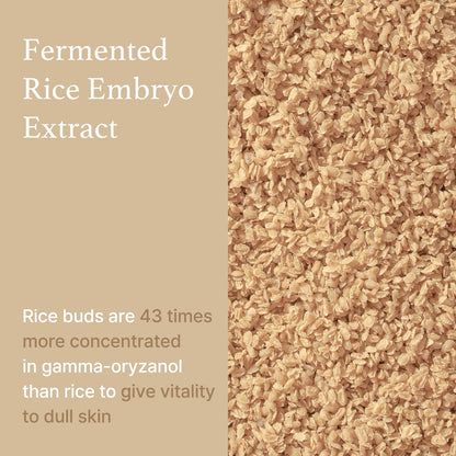 I'm from Rice Toner – Brighten, Hydrate &; Nourish 🍚✨ | 150ml - Lahab Beauty | لهب بيوتي