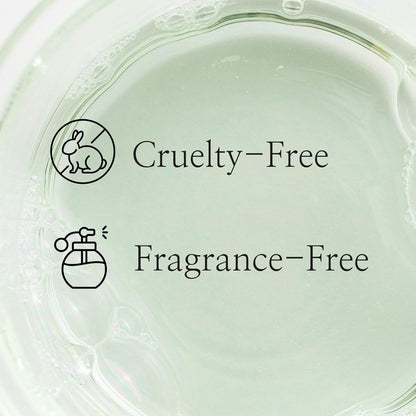 [Beauty Of Joseon] Green Plum Refreshing Toner : AHA + BHA 150ml - Lahab Beauty | لهب بيوتي